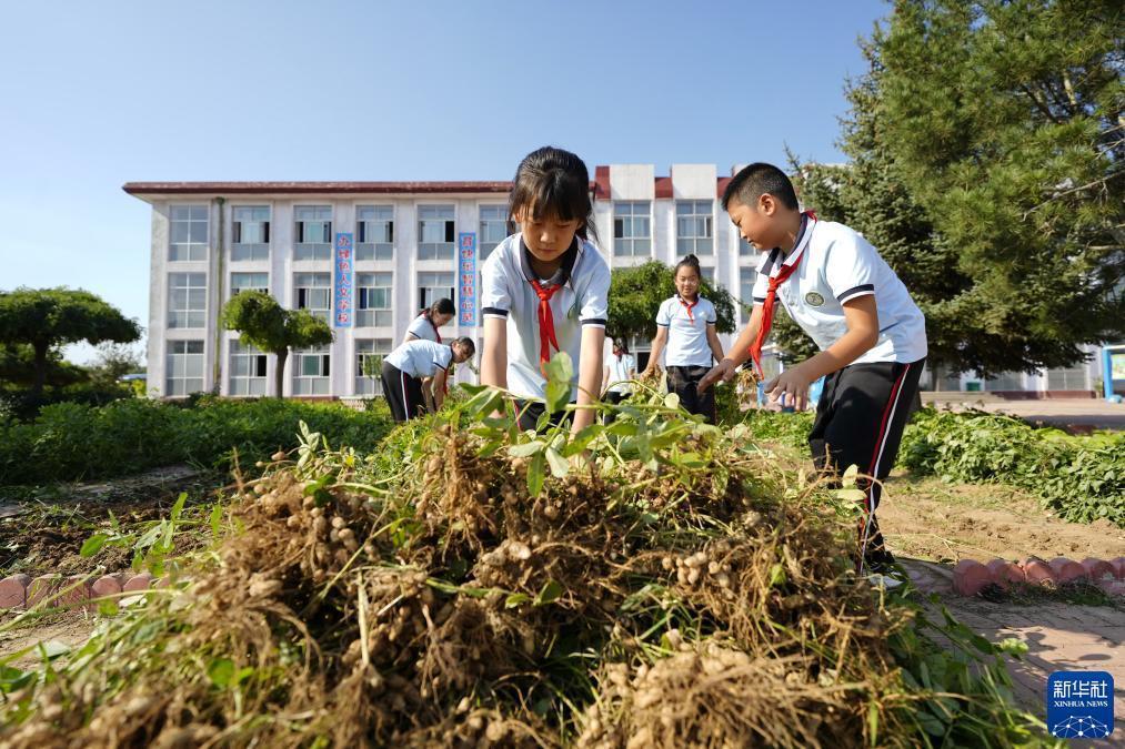 登录万美娱乐